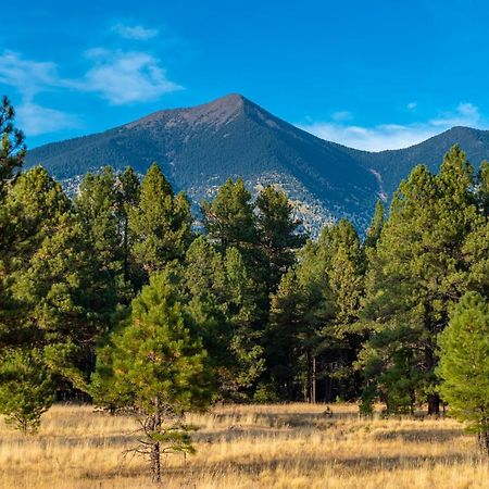 Mt. Elden Adventure Βίλα Φλάγκσταφ Εξωτερικό φωτογραφία